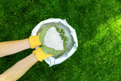 Commercial Lawn Care