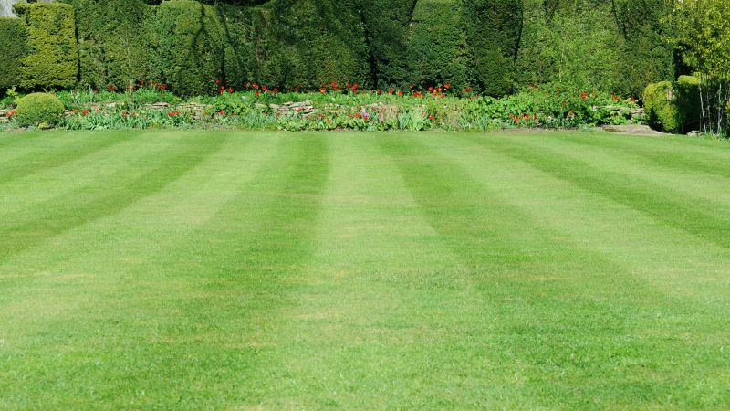 Spring Lawn Maintenance