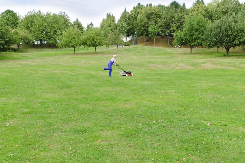 Who Does Lawn Mowings