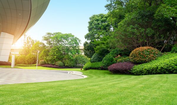 Cost of Commercial Lawn Mowing in Crystal Lake