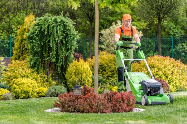Cost of Yard Service in Crystal Lake