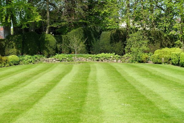 Cost of Grass Care Service in Crystal Lake