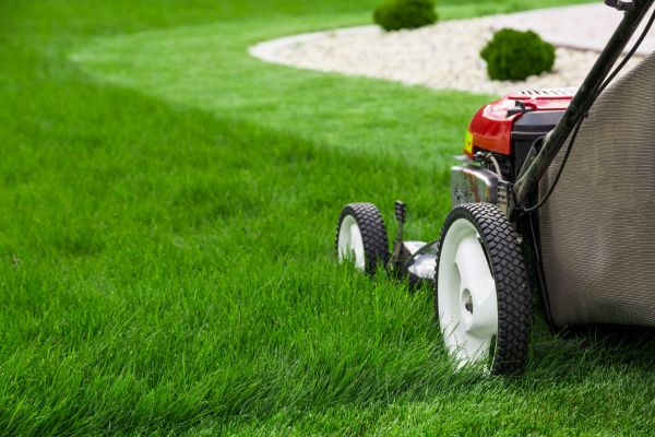 Cost of Lawn Service in Crystal Lake