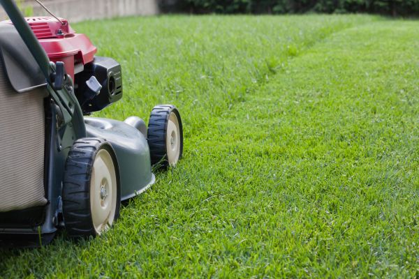 Cost of Spring Lawn Maintenance in Crystal Lake